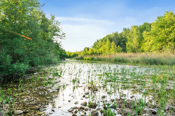 a view of yard with green space