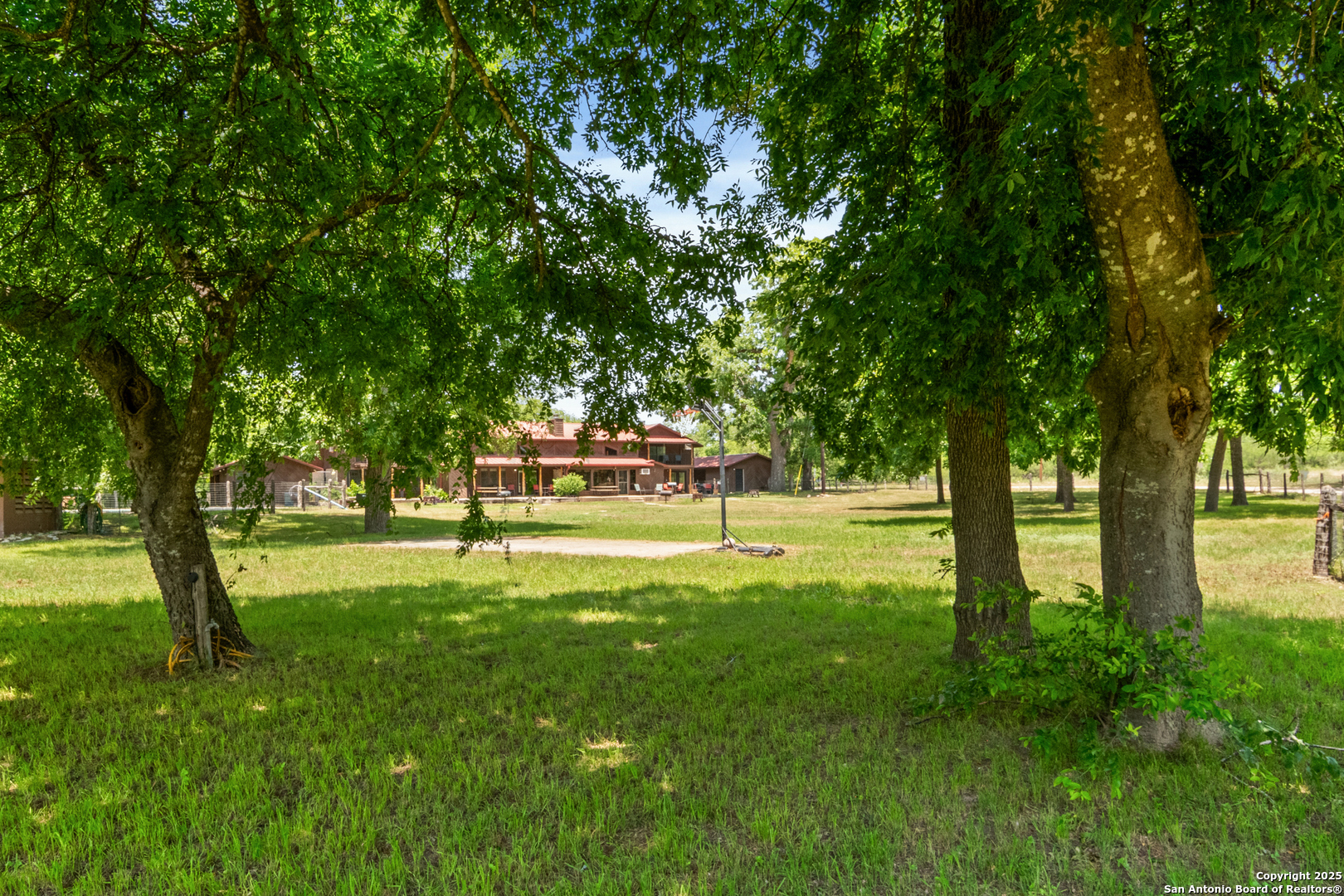 6641 Ranch Road 1120, Unit A B C D Rio Frio, TX 78879 - Photo 10 of 34 a view of yard with trees