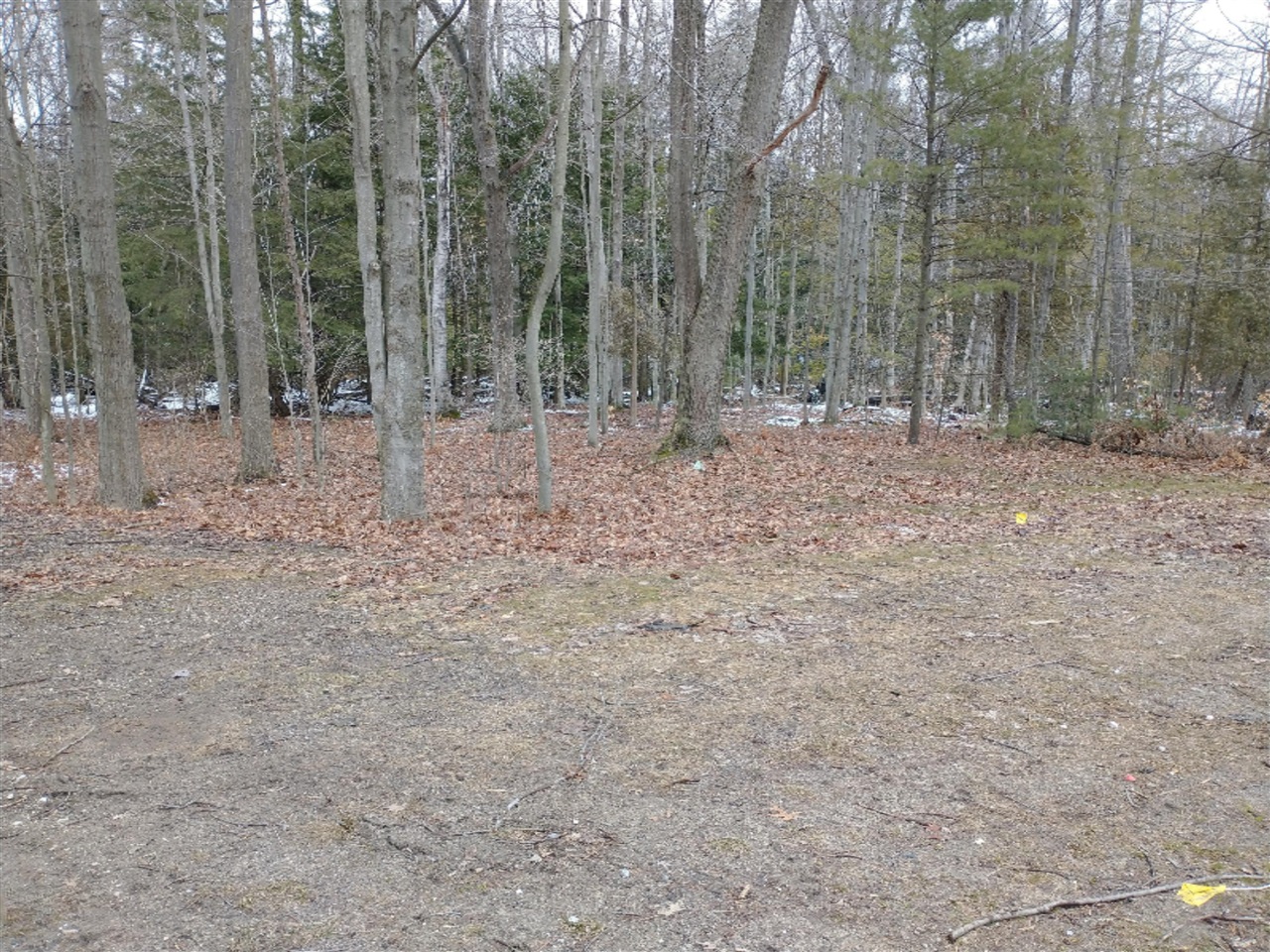 West Jagger Road Scottville, MI 49454 - Photo 3 of 5