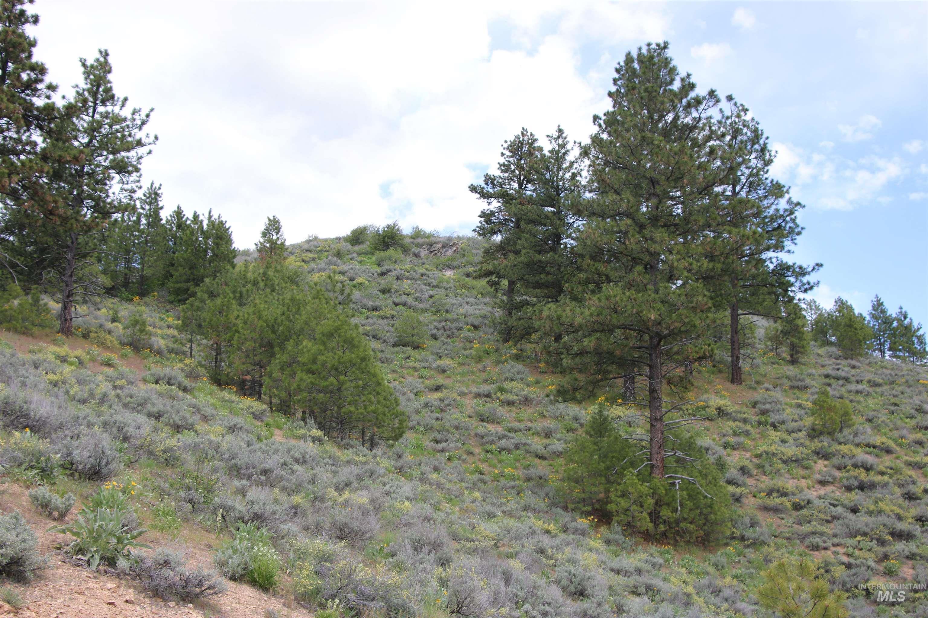 Tbd Strawberry Loop Mountain Home, ID 83647 - Photo 17 of 20