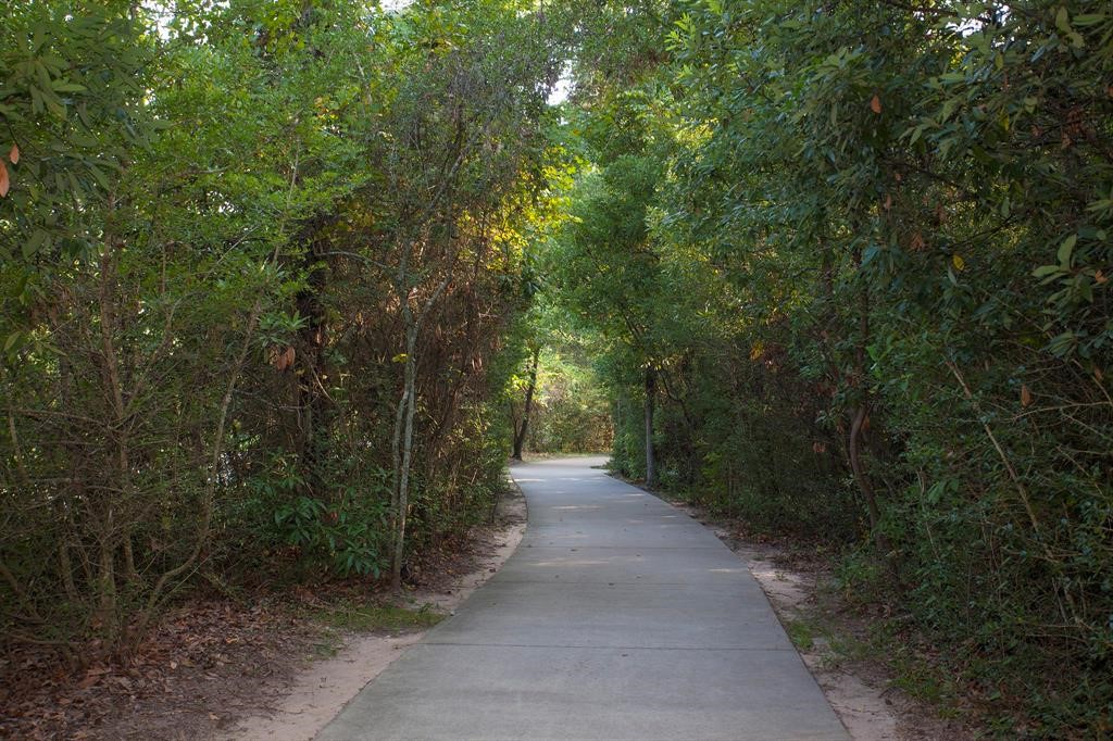 110 North Valley Oaks Circle The Woodlands, TX 77382 - Photo 25 of 29 a view of a city street from a forest