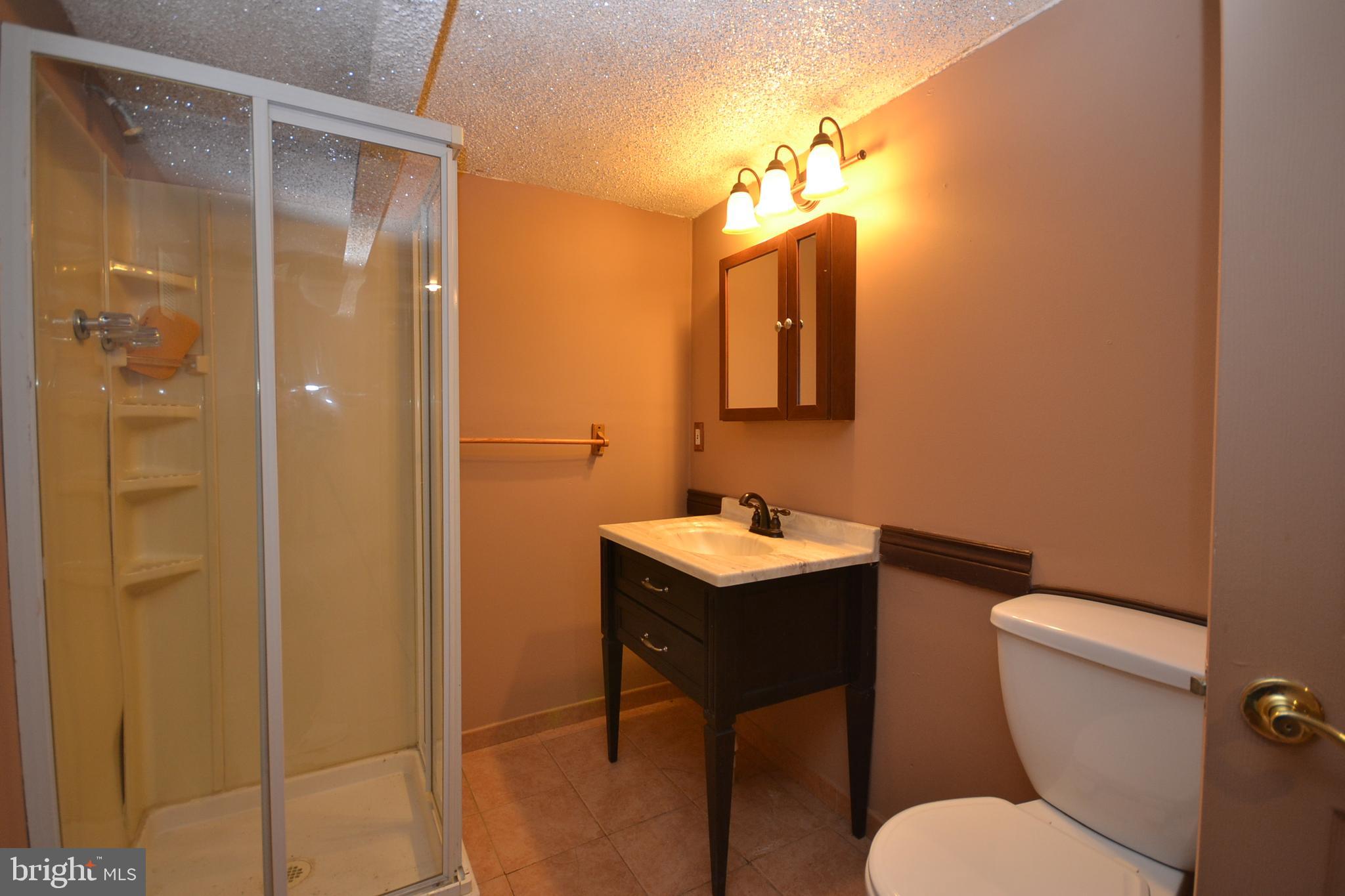 823 Arbor Road Yeadon, PA 19050 - Photo 20 of 32 Full Bath Lower Level