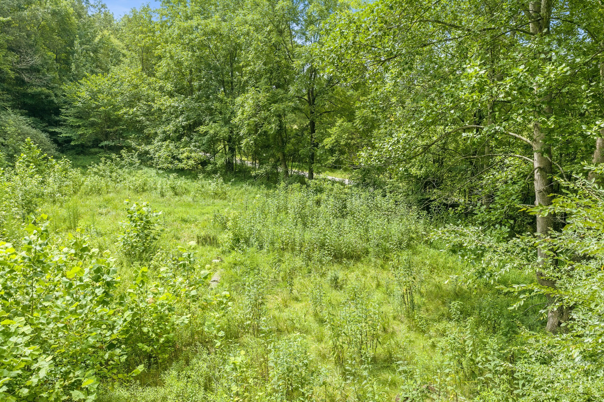 0 Utley Road Camden, TN 38320 - Photo 30 of 31 Gallery Image 30