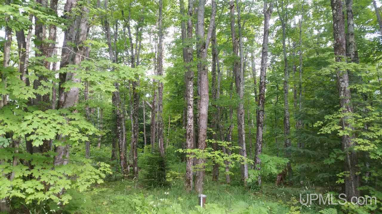 2070 Gold Mine Road Marquette, MI 49855 - Photo 35 of 36
