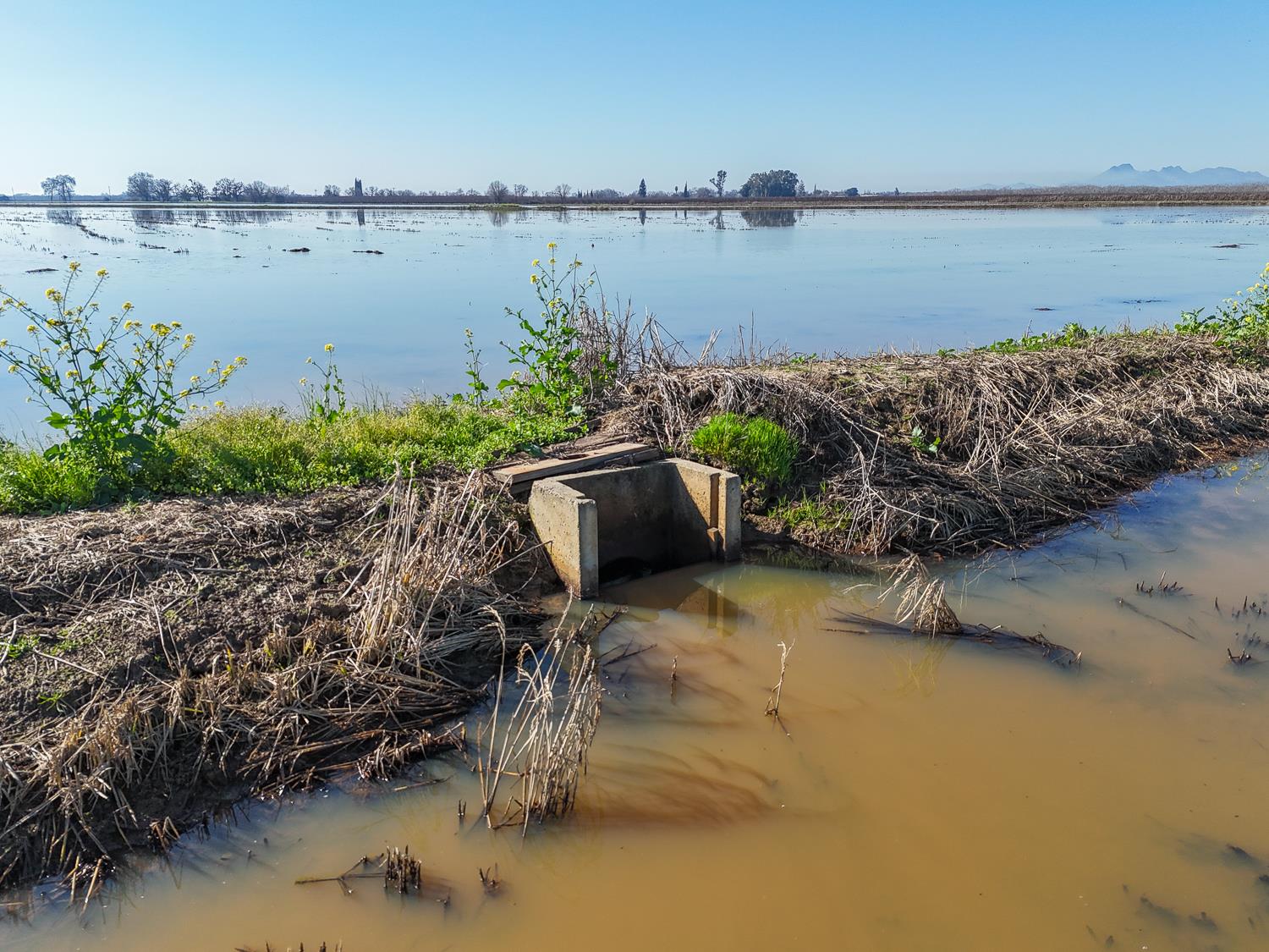 1000 Magnolia Road Marysville, CA 95901 - Photo 23 of 31