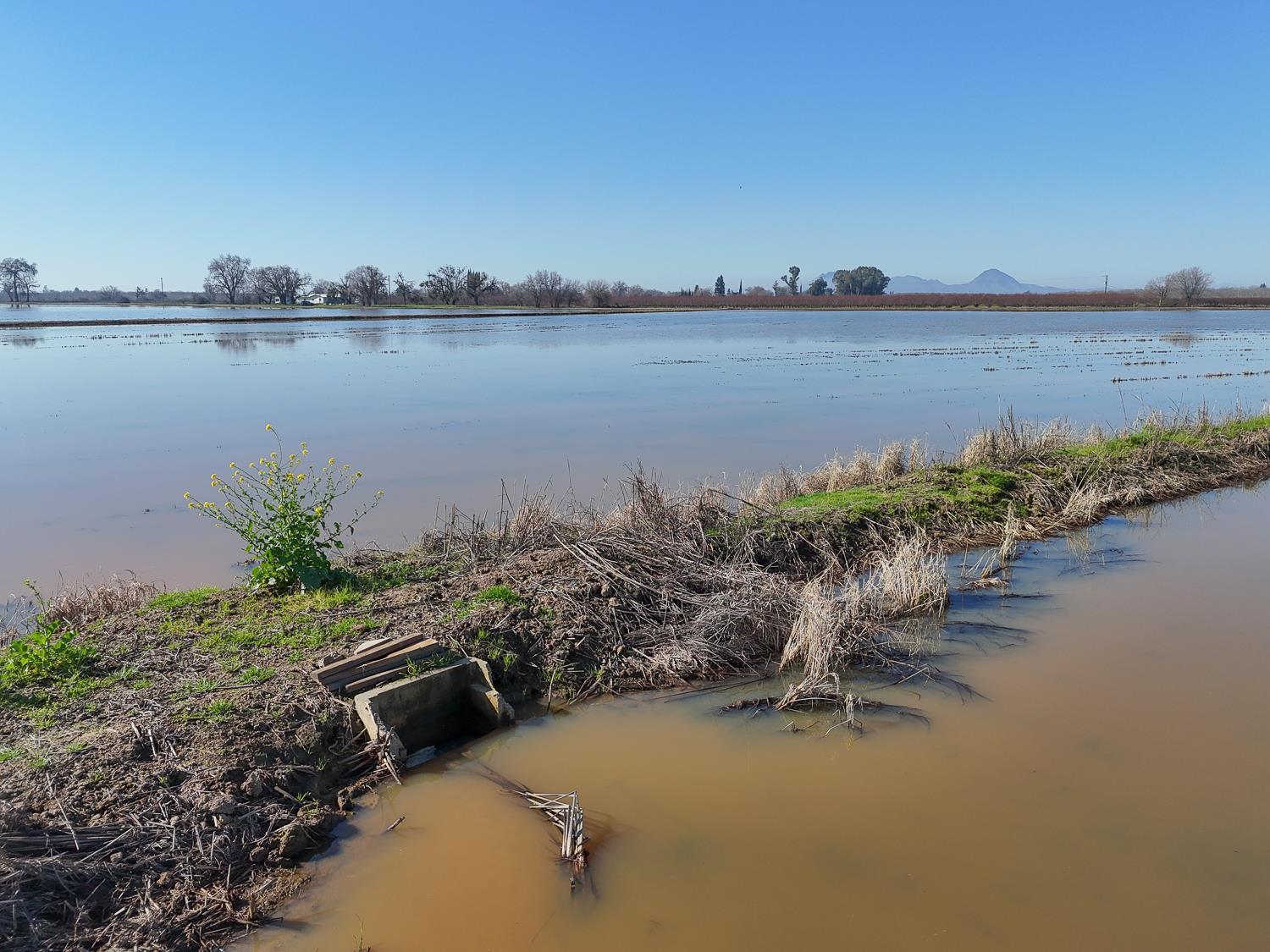 1000 Magnolia Road Marysville, CA 95901 - Photo 24 of 31