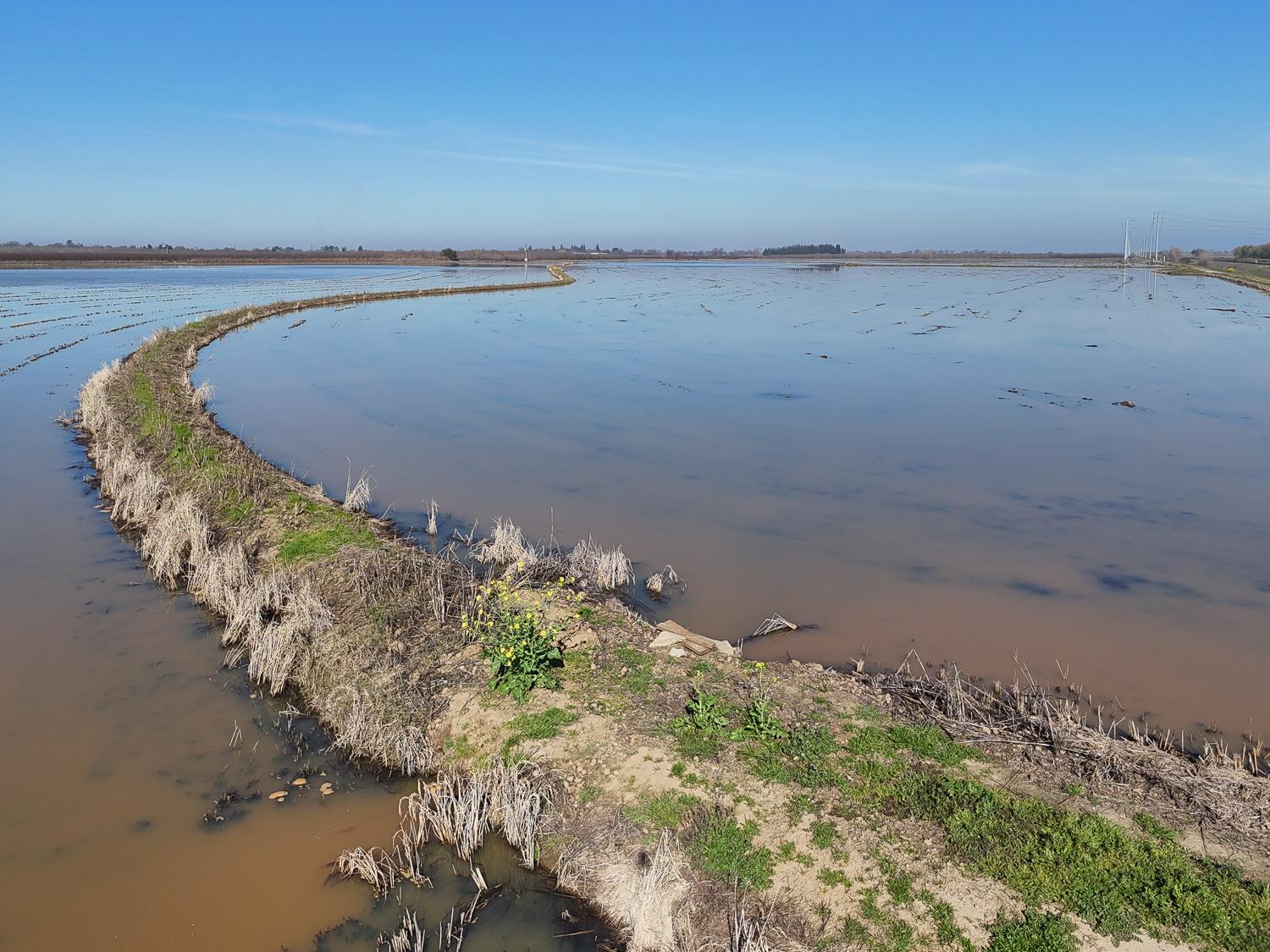 1000 Magnolia Road Marysville, CA 95901 - Photo 25 of 31