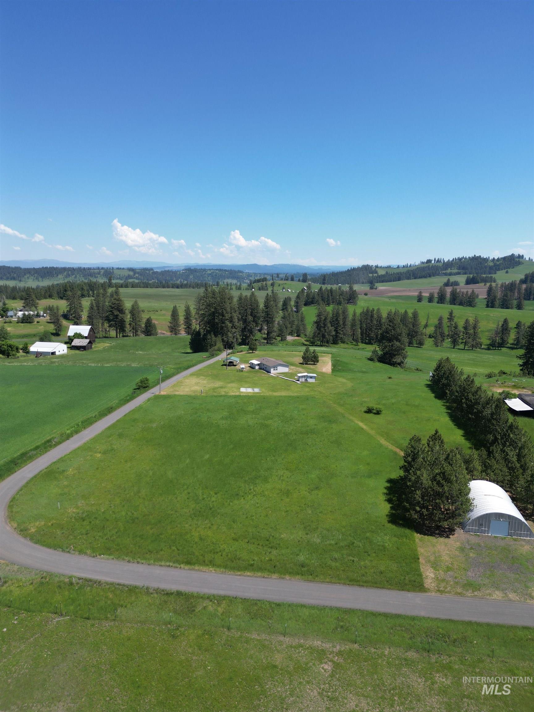 135 Harrisburg Road Kamiah, ID 83536 - Photo 35 of 41 Expansive green acreage featuring a paved road, mature evergreen trees, multiple outbuildings, a single-story residence, and a distant tree-lined horizon
