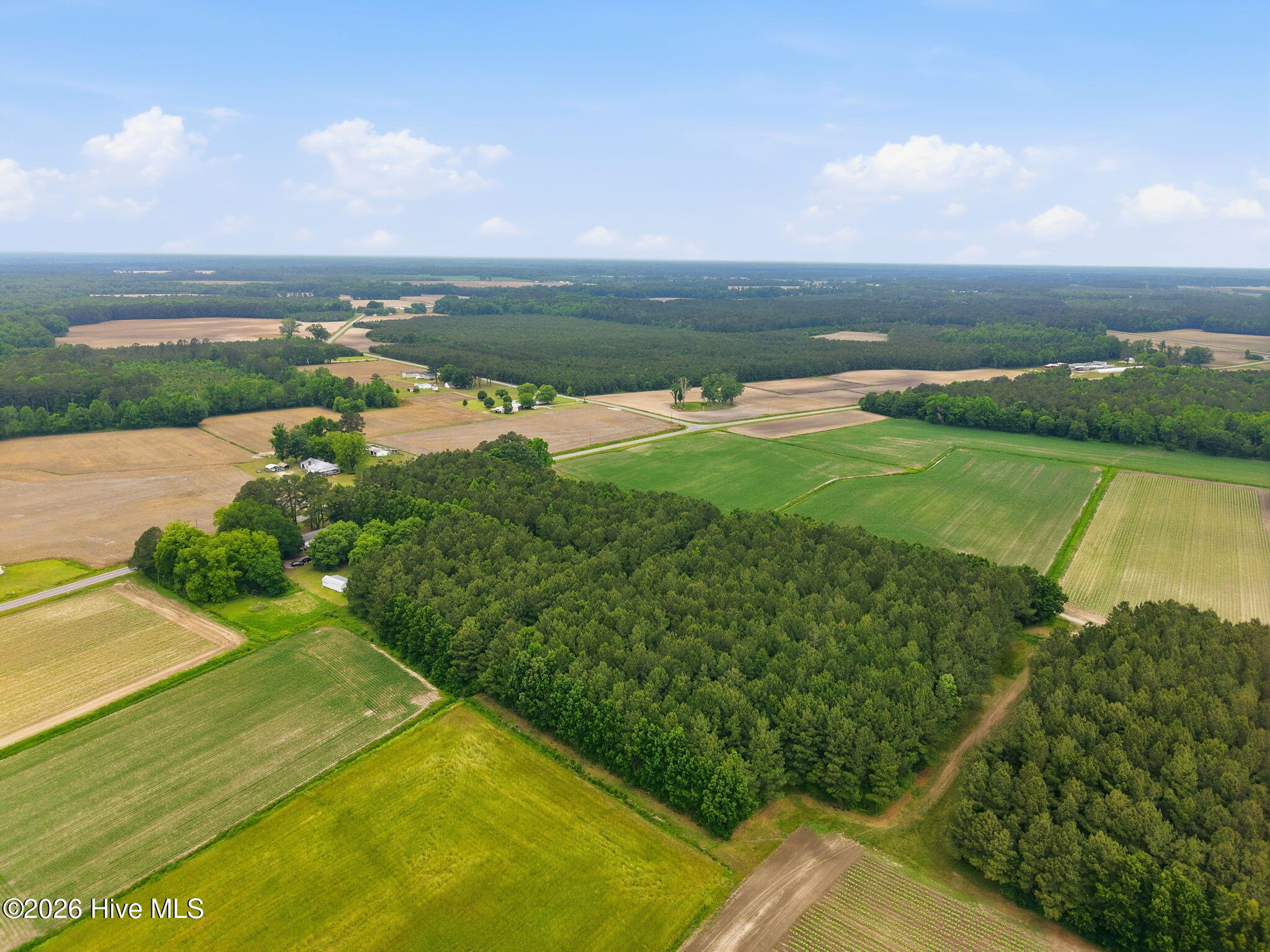 0 Fire Tower Road Walstonburg, NC 27888 - Photo 9 of 10 9-web-or-mls-DJI_20260511115313_0019_D