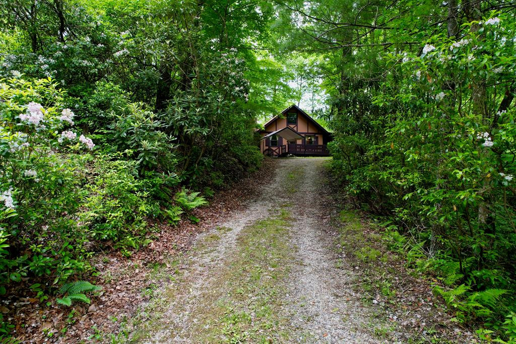 351 Mt Tabor Road Topton, NC 28781 - Photo 15 of 58