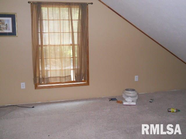 15737 Cochran Road Marion, IL 62959 - Photo 8 of 17 Gallery Image 8