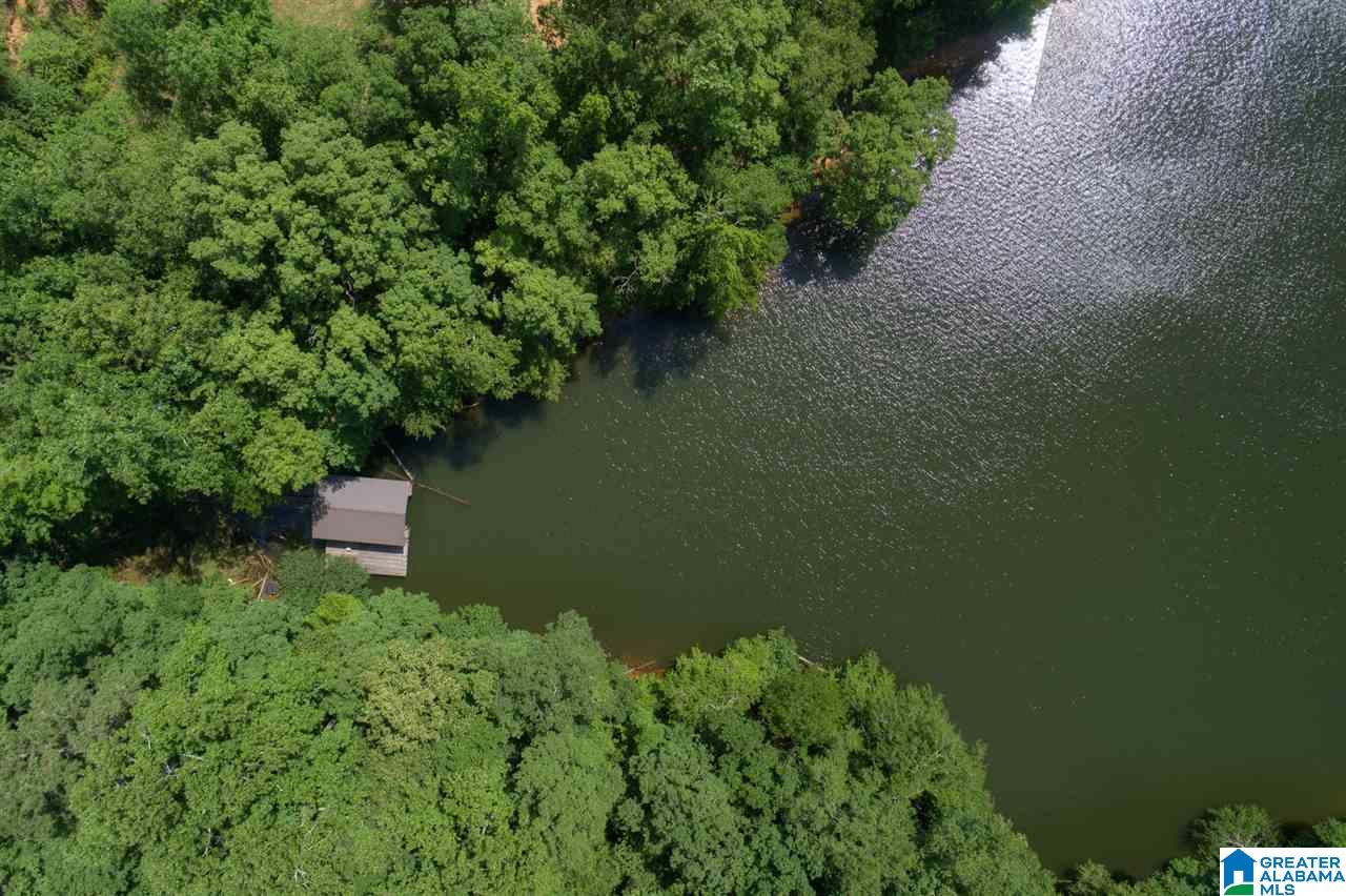 0 Ridge Drive, Unit 58 PART 54 & BOAT RAMP Arley, AL 35541 - Photo 9 of 27