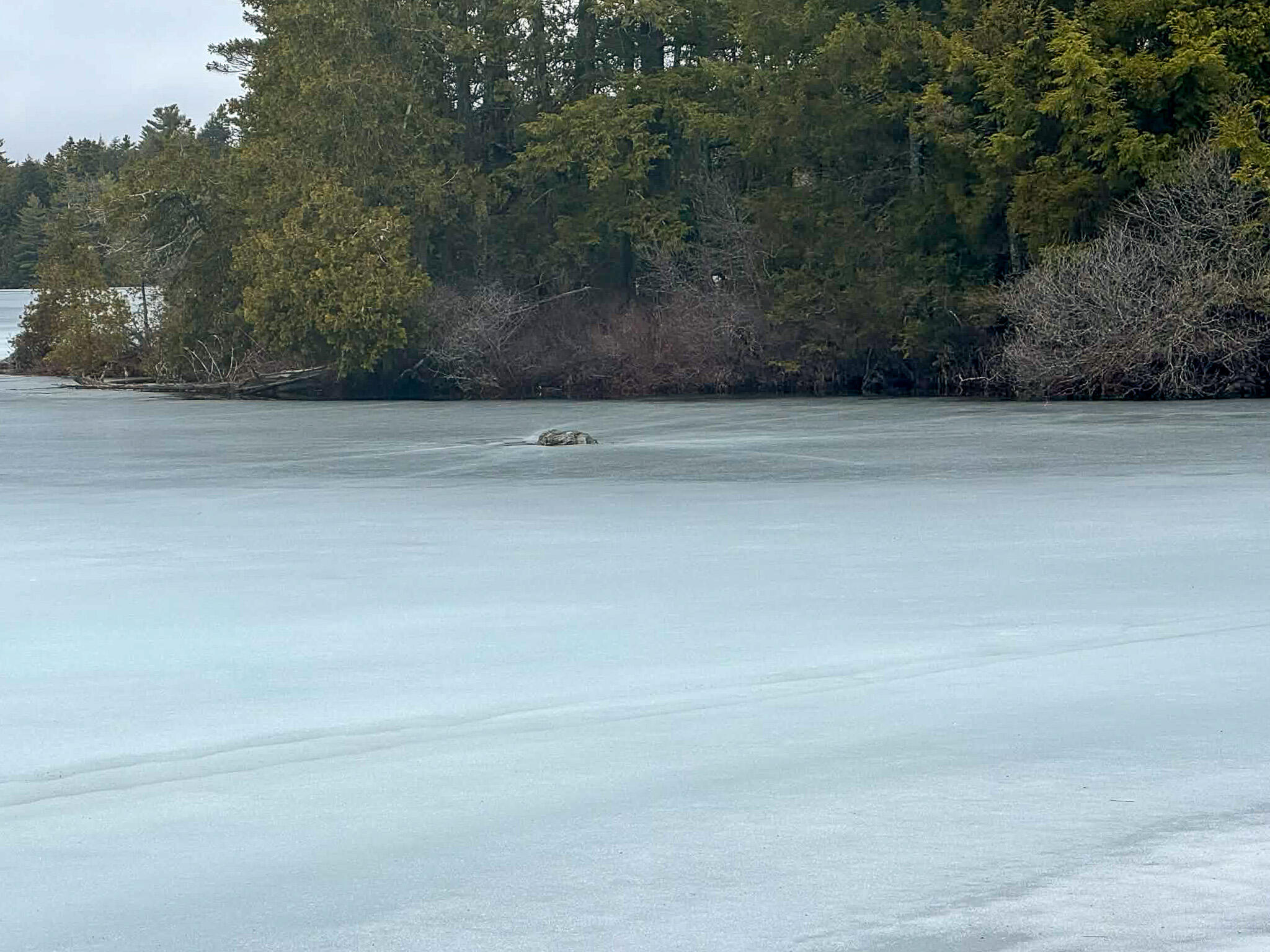 X Smith Cv Road Cathance Township, ME 04657 - Photo 3 of 7 8a95ae7c-3335-4cfc-b7a5-6d369b73bd30