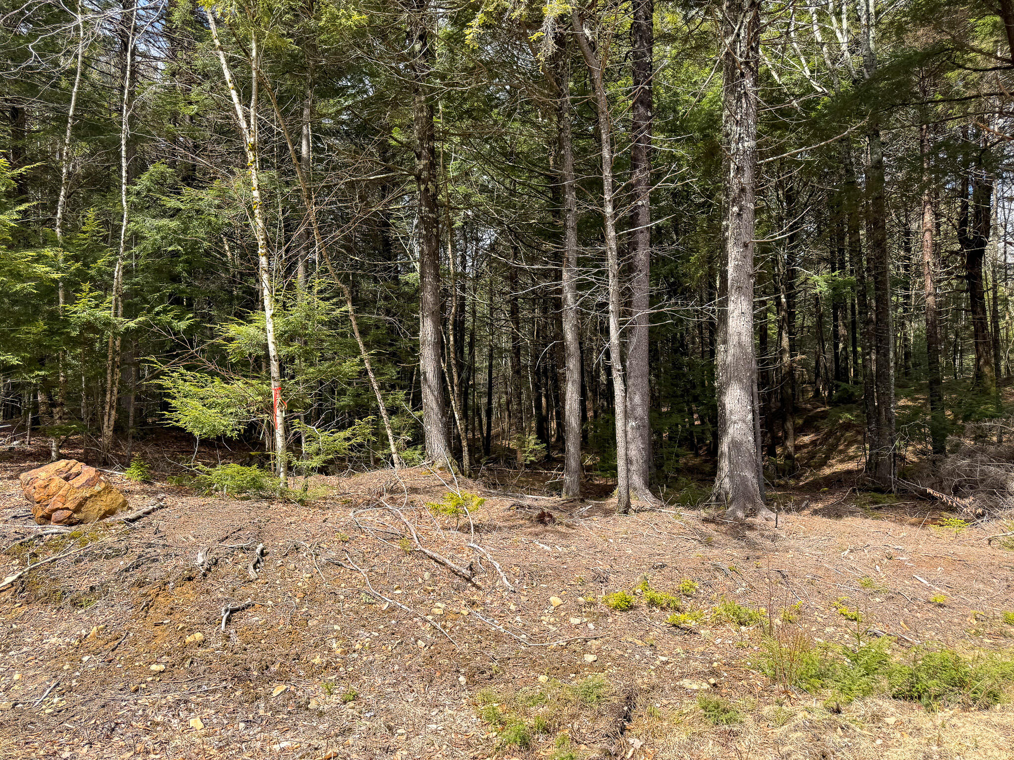 X Smith Cv Road Cathance Township, ME 04657 - Photo 6 of 7 6