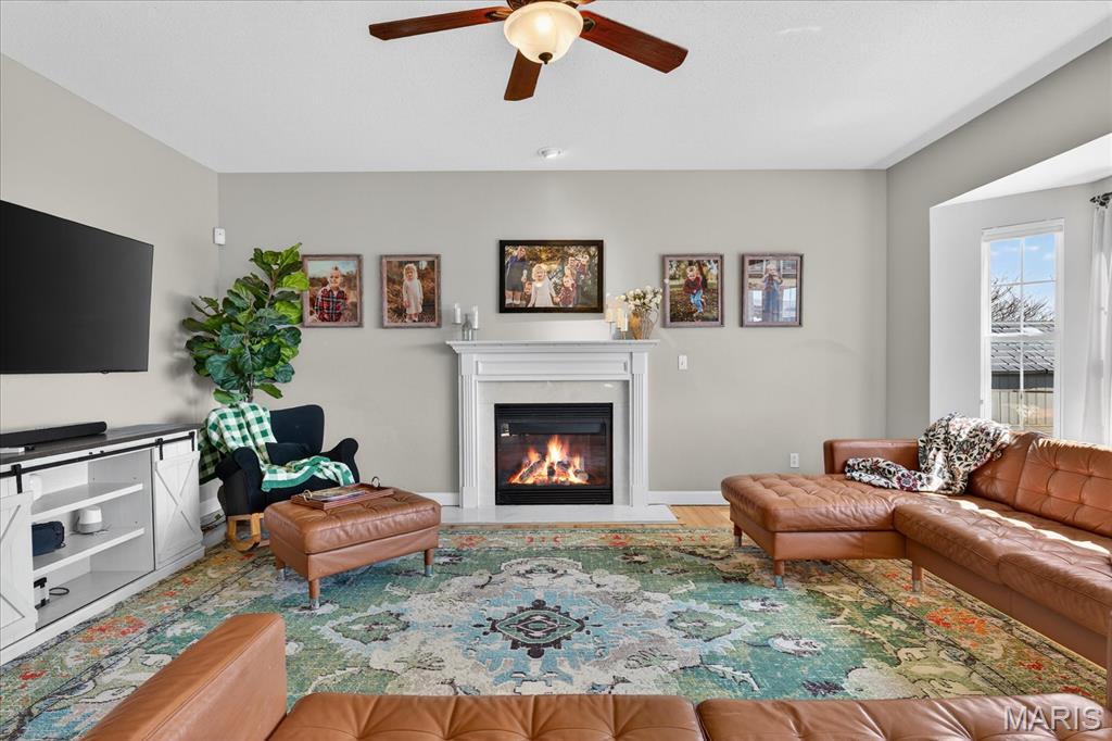 7008 Bellingham Circle O'Fallon, IL 62269 - Photo 10 of 45