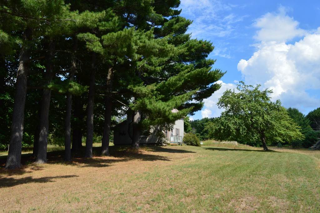 8899 Puffer Road Southwest Fife Lake, MI 49633 - Photo 14 of 36 1829056-13.JPG
