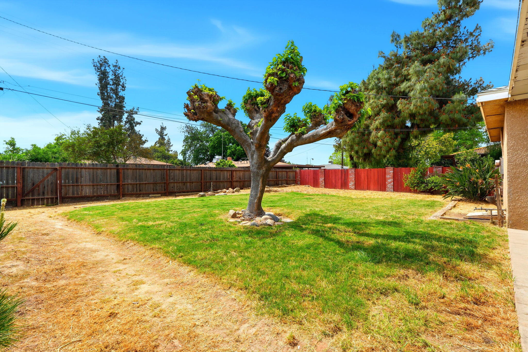 1123 East Washington Avenue Reedley, CA 93654 - Photo 49 of 54 50-1123_E_Washington_Ave_048