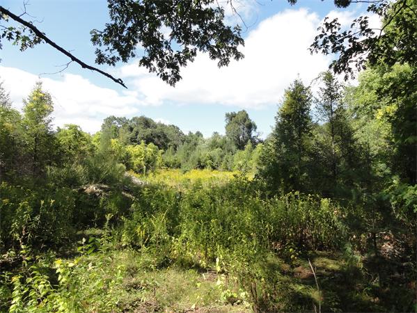 152 Spectacle Pond Road Littleton, MA 01460 - Photo 1 of 9 Gallery Image 1
