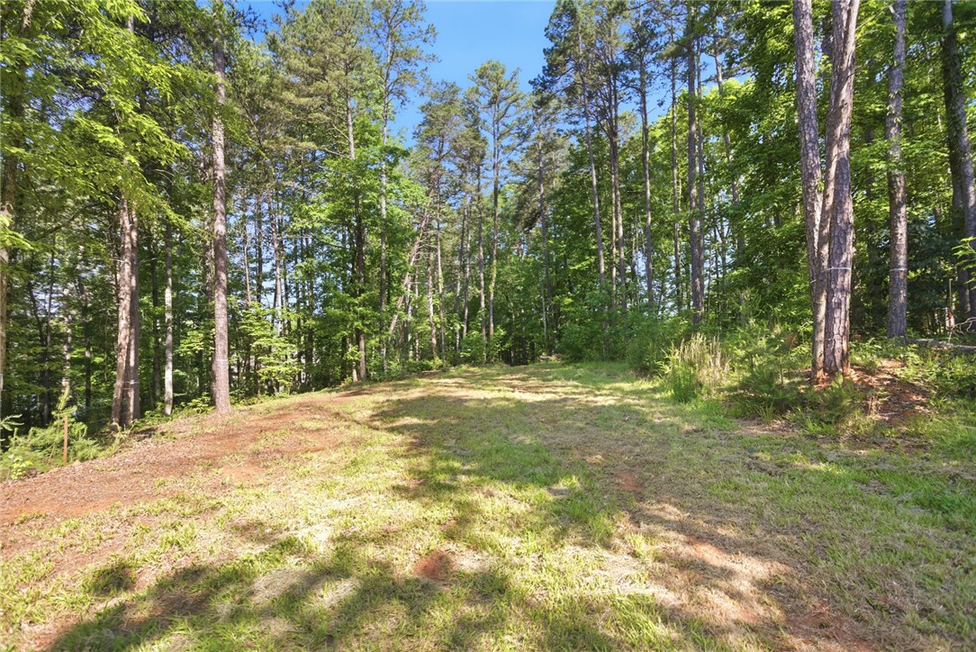 2202 Retreat Pointe Road West Union, SC 29696 - Photo 8 of 28 Gallery Image 8
