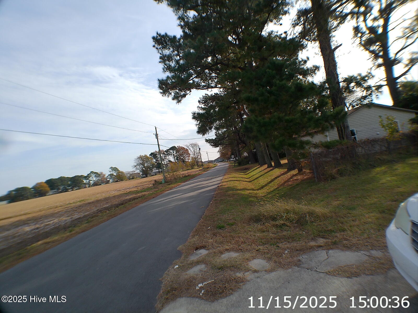 153 Webb Street Hertford, NC 27944 - Photo 16 of 17 street L