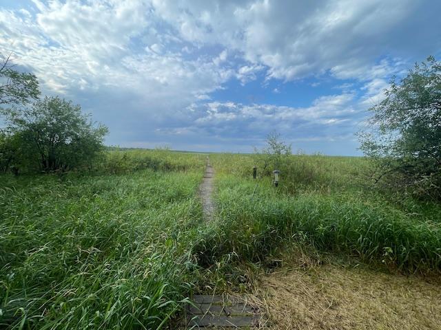 4716 Big Rice Lake Road Northeast Remer, MN 56672 - Photo 31 of 42 Gallery Image 31