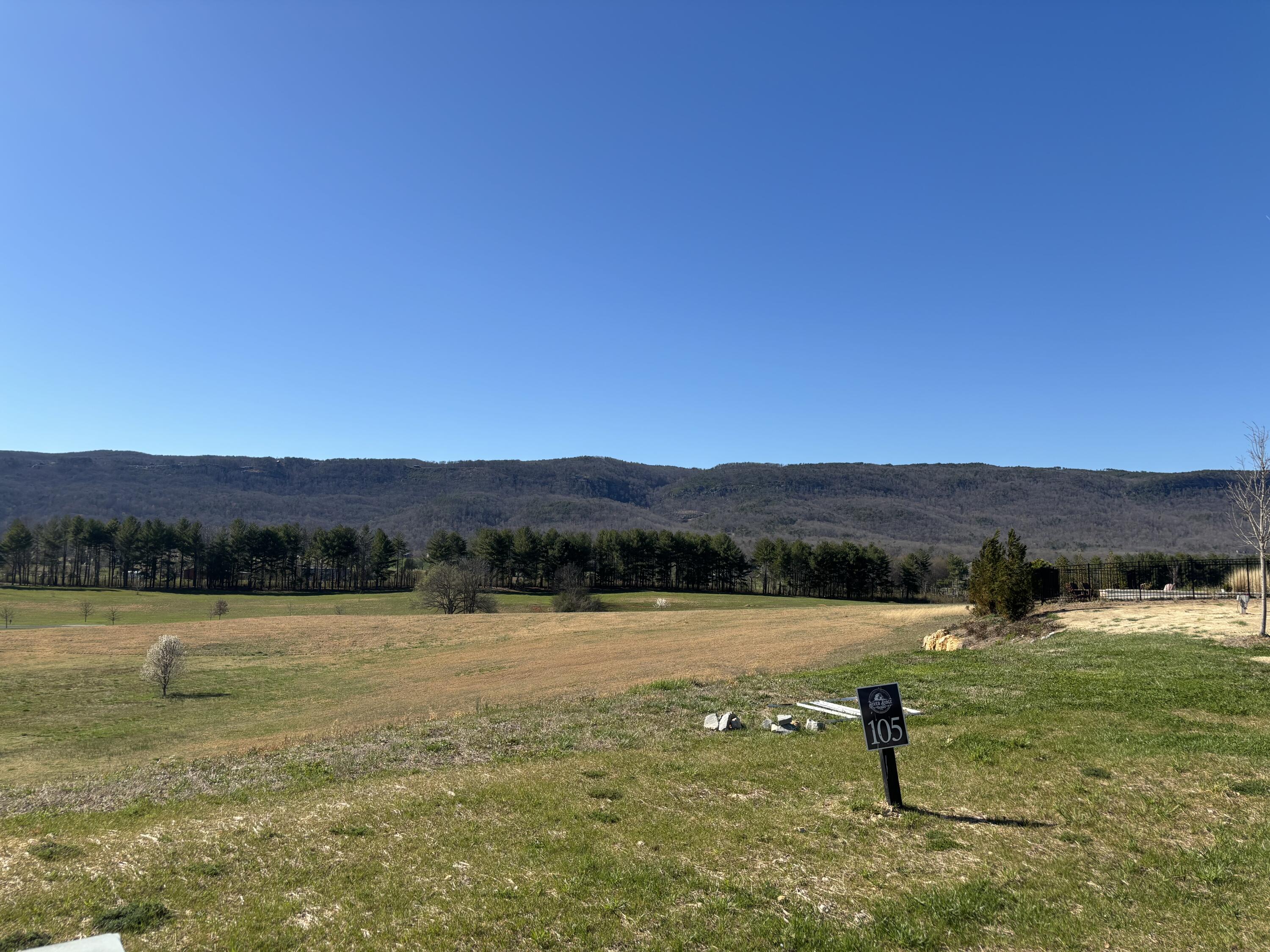 Lot 105 Pinnacle Point Drive Dunlap, TN 37327 - Photo 4 of 4 IMG_0335