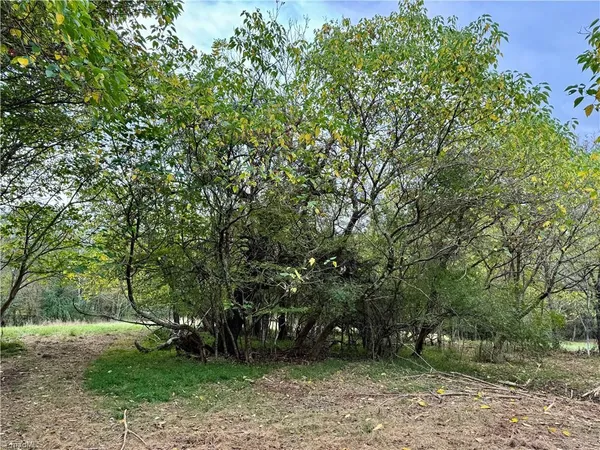 $119,990 | 310 Jessup Grove Church Road, Pilot Mountain, NC 27041