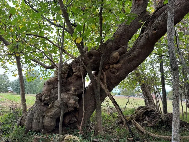 $119,990 | 310 Jessup Grove Church Road, Pilot Mountain, NC 27041