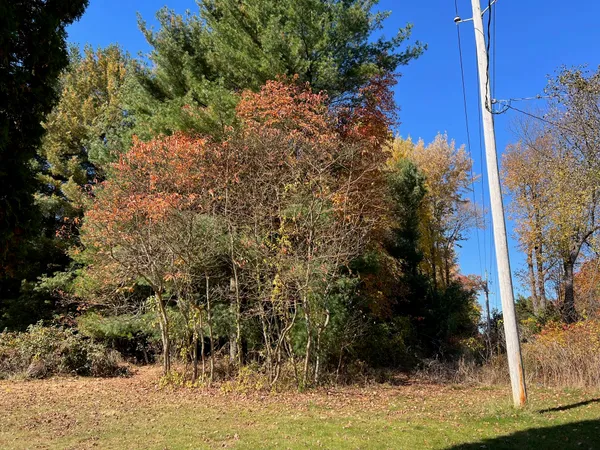 $25,000 | Clinton Road, Jackson, MI 49201