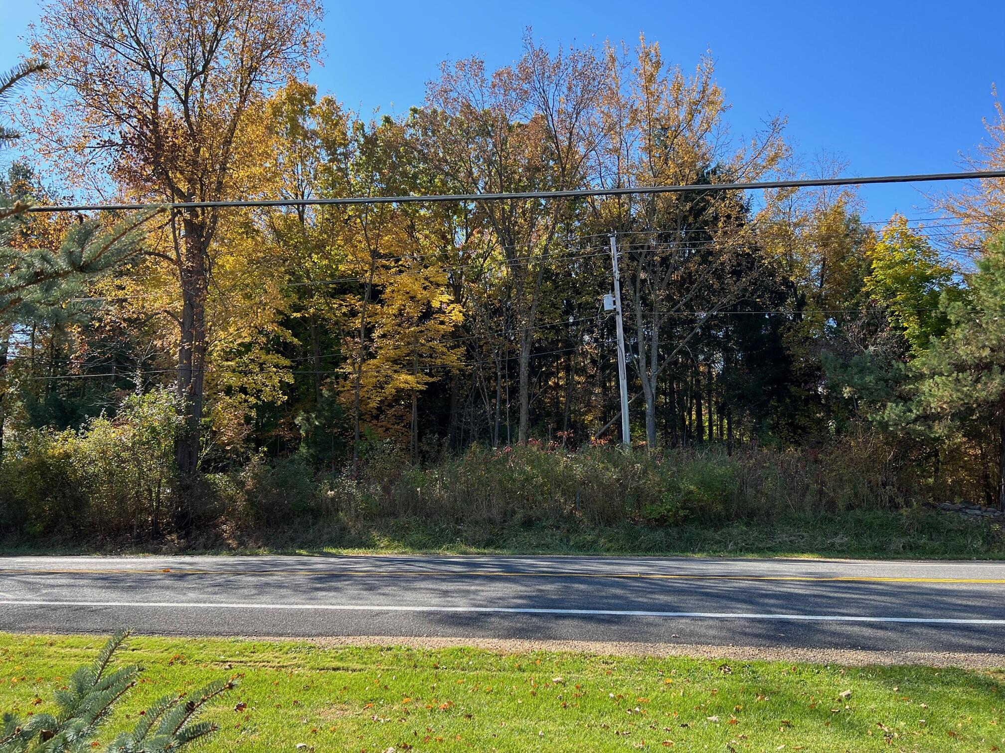 Clinton Road Jackson, MI 49201 - Photo 4 of 5 IMG_1642