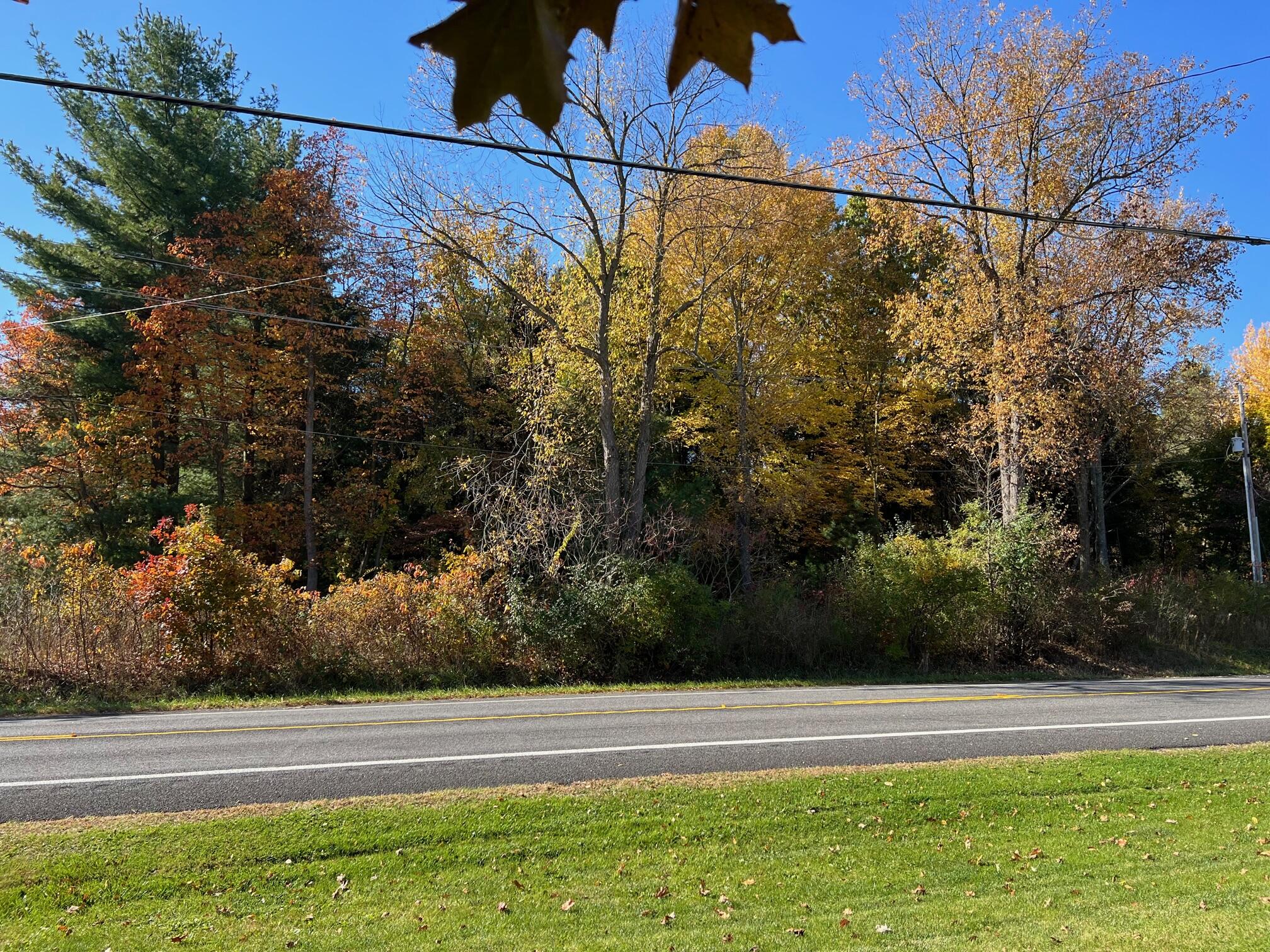 Clinton Road Jackson, MI 49201 - Photo 5 of 5 IMG_1643