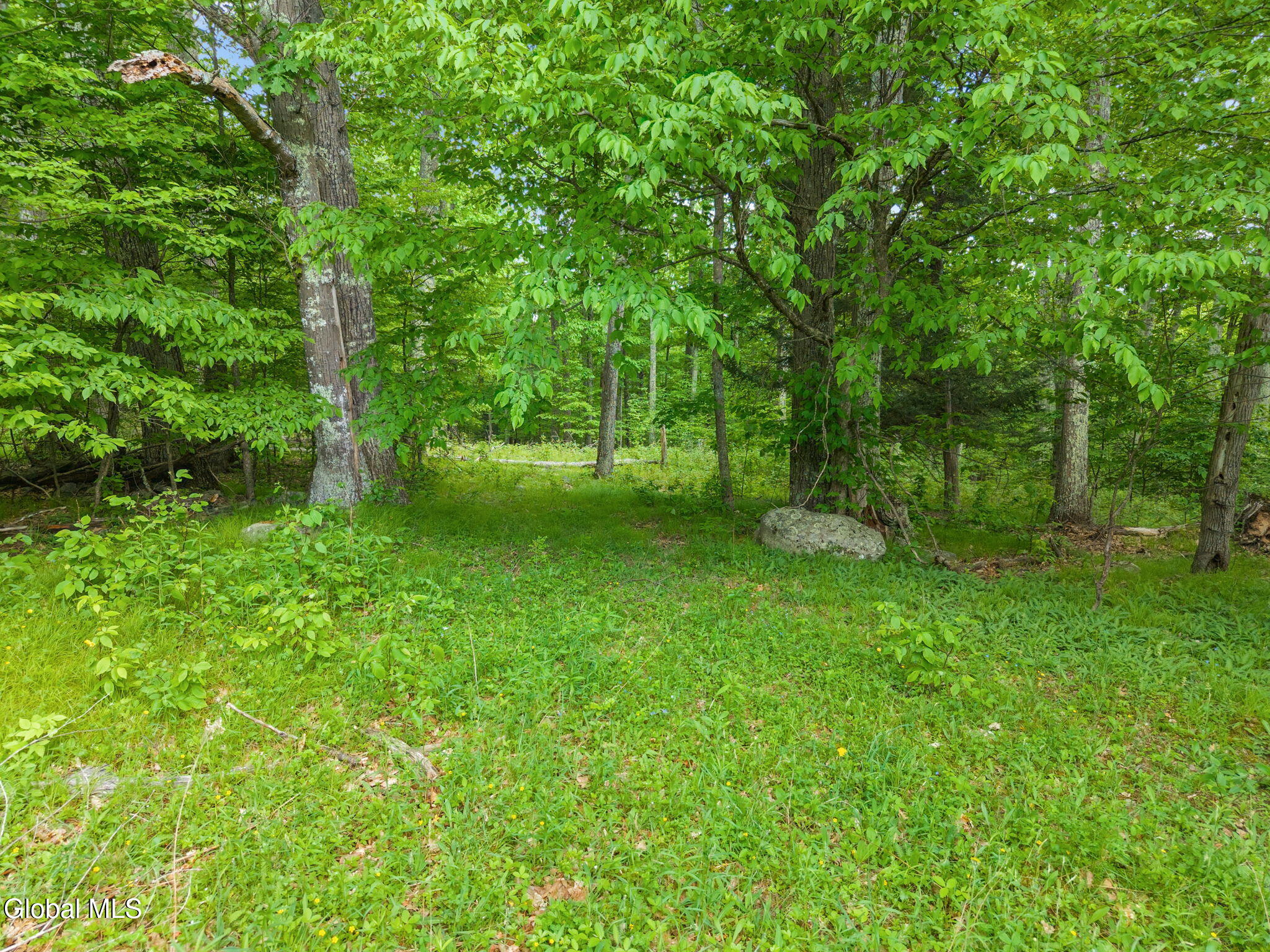368 Brand Road Gilboa, NY 12076 - Photo 60 of 76 71-368BrandRd_33 (2)