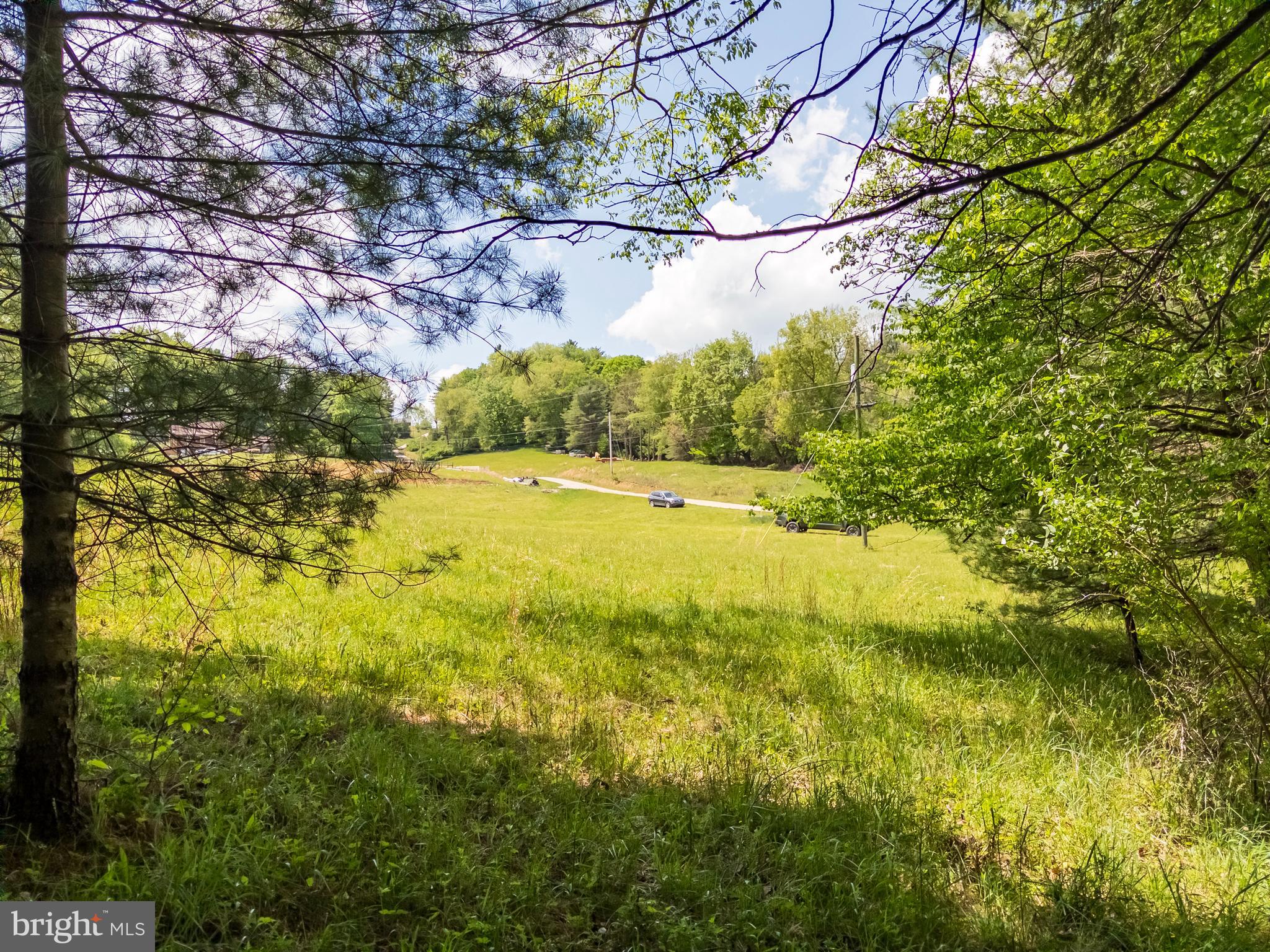 0 Mccarty Lane Dunmore, WV 24934 - Photo 11 of 19