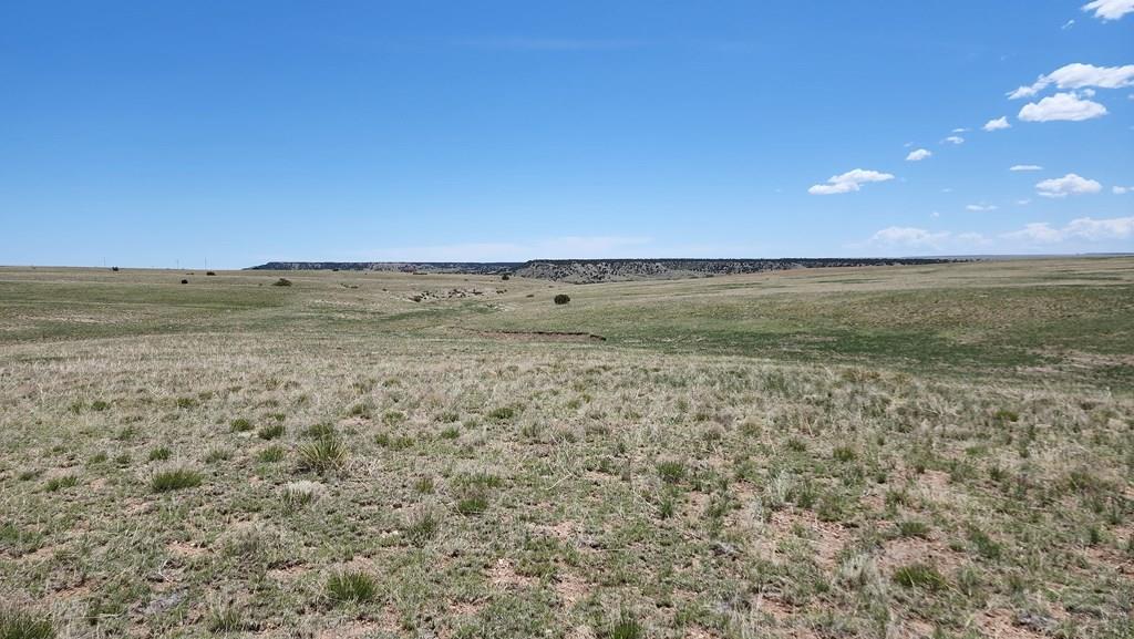 110 County Road 110 Rye, CO 81069 - Photo 8 of 37