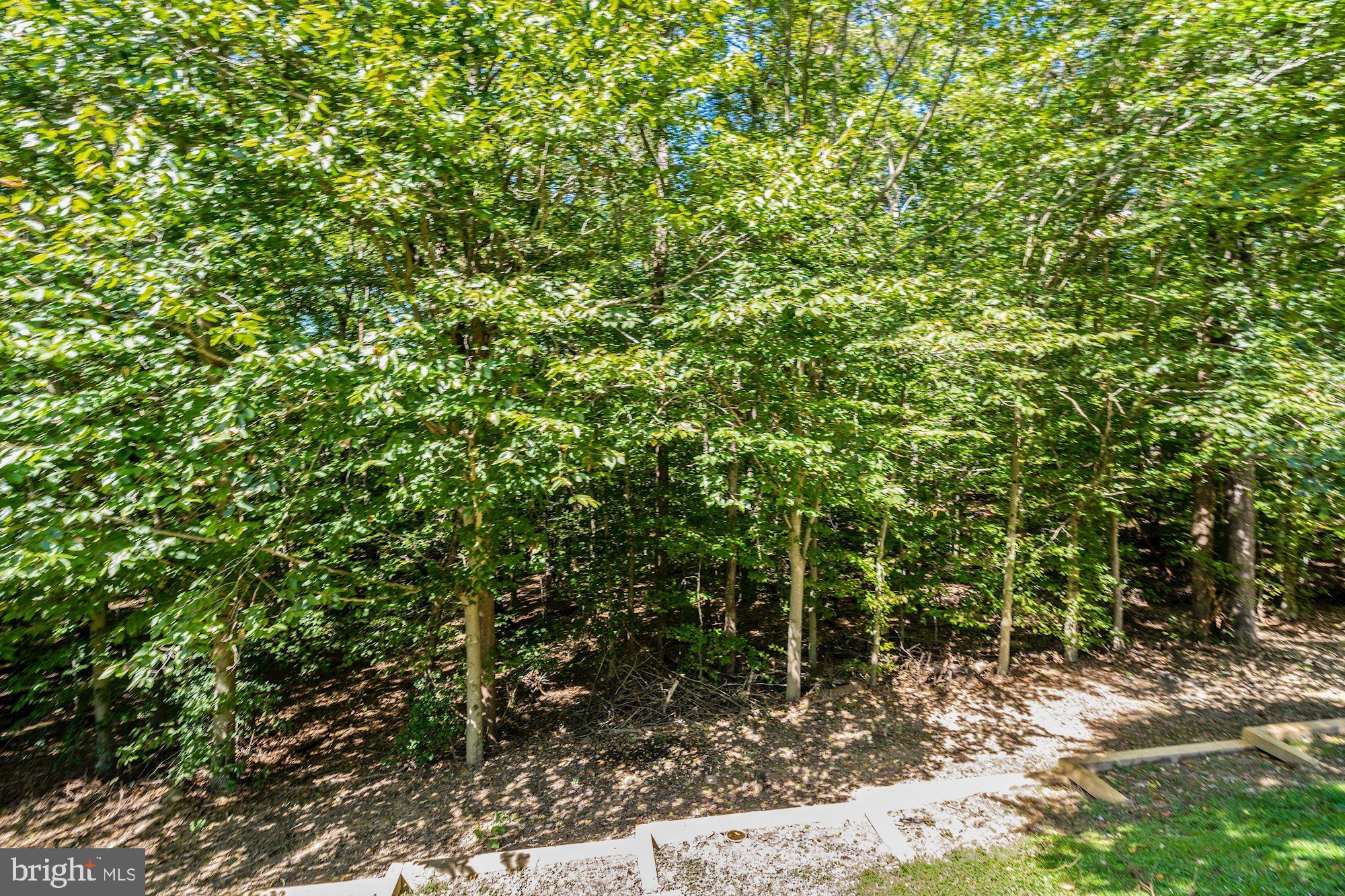 8078 Donegal Lane Springfield, VA 22153 - Photo 40 of 42