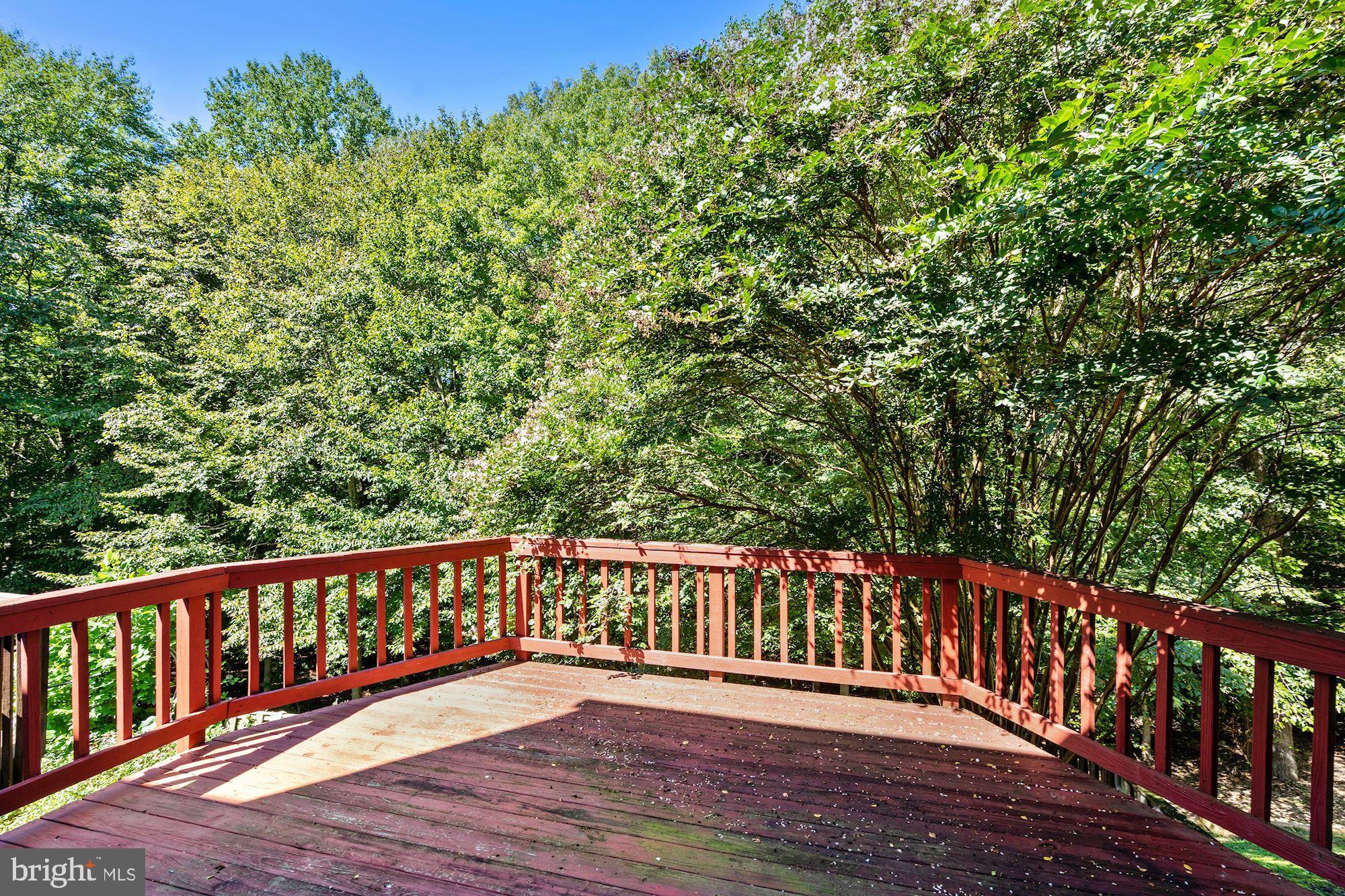 8078 Donegal Lane Springfield, VA 22153 - Photo 41 of 42