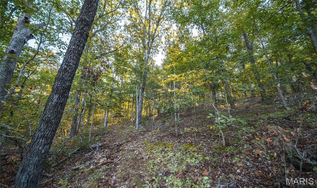 10206 Slice Road Sullivan, MO 63080 - Photo 45 of 66 Gallery Image 45