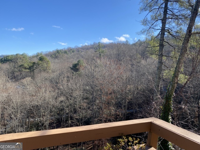373 Western Way Rabun Gap, GA 30568 - Photo 13 of 30 a view of a yard from a balcony