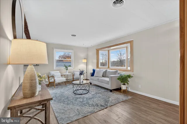 a living room with furniture potted plant and a chandelier