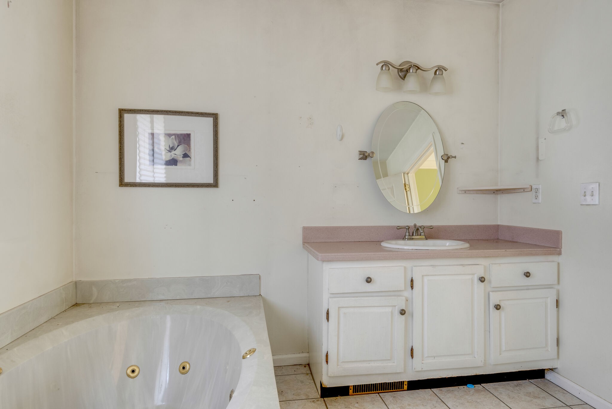 7393 Walker Road Fairview, TN 37062 - Photo 16 of 25 a bathroom with a sink and a mirror