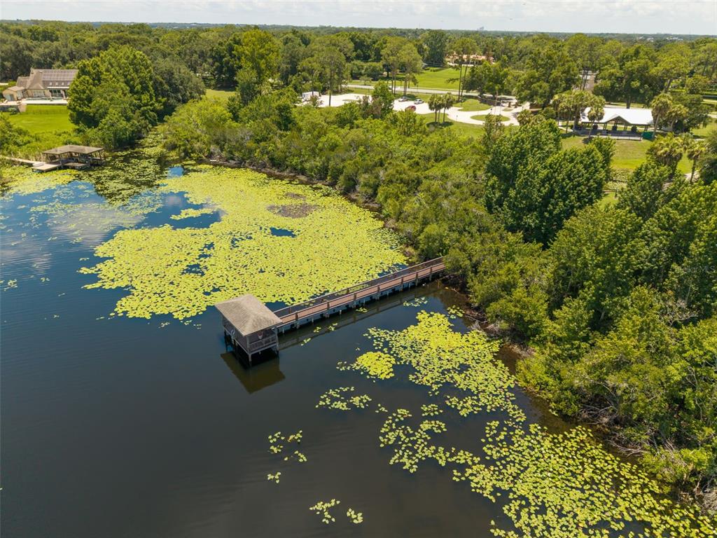 2512 Tryon Place Windermere, FL 34786 - Photo 59 of 69