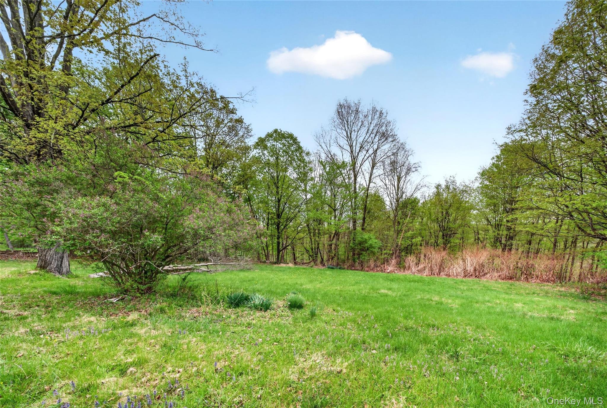70 North Road Bloomingburg, NY 12721 - Photo 41 of 44