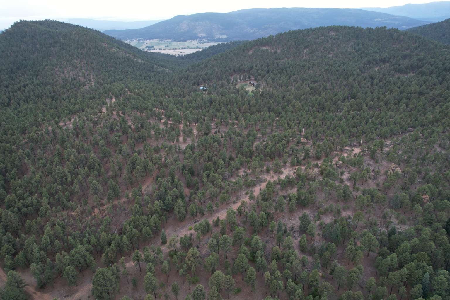 0 A015 County Road Mora, NM 87732 - Photo 12 of 40