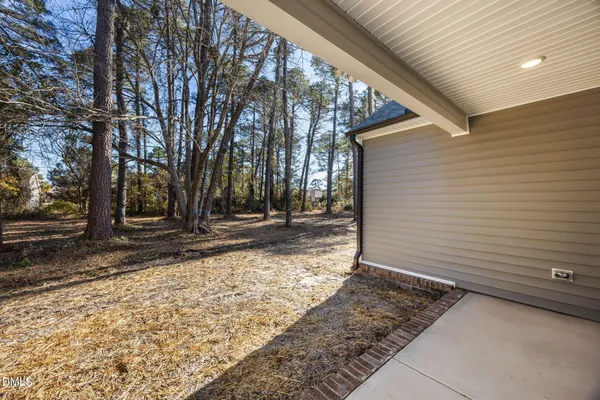 a view of backyard with tree