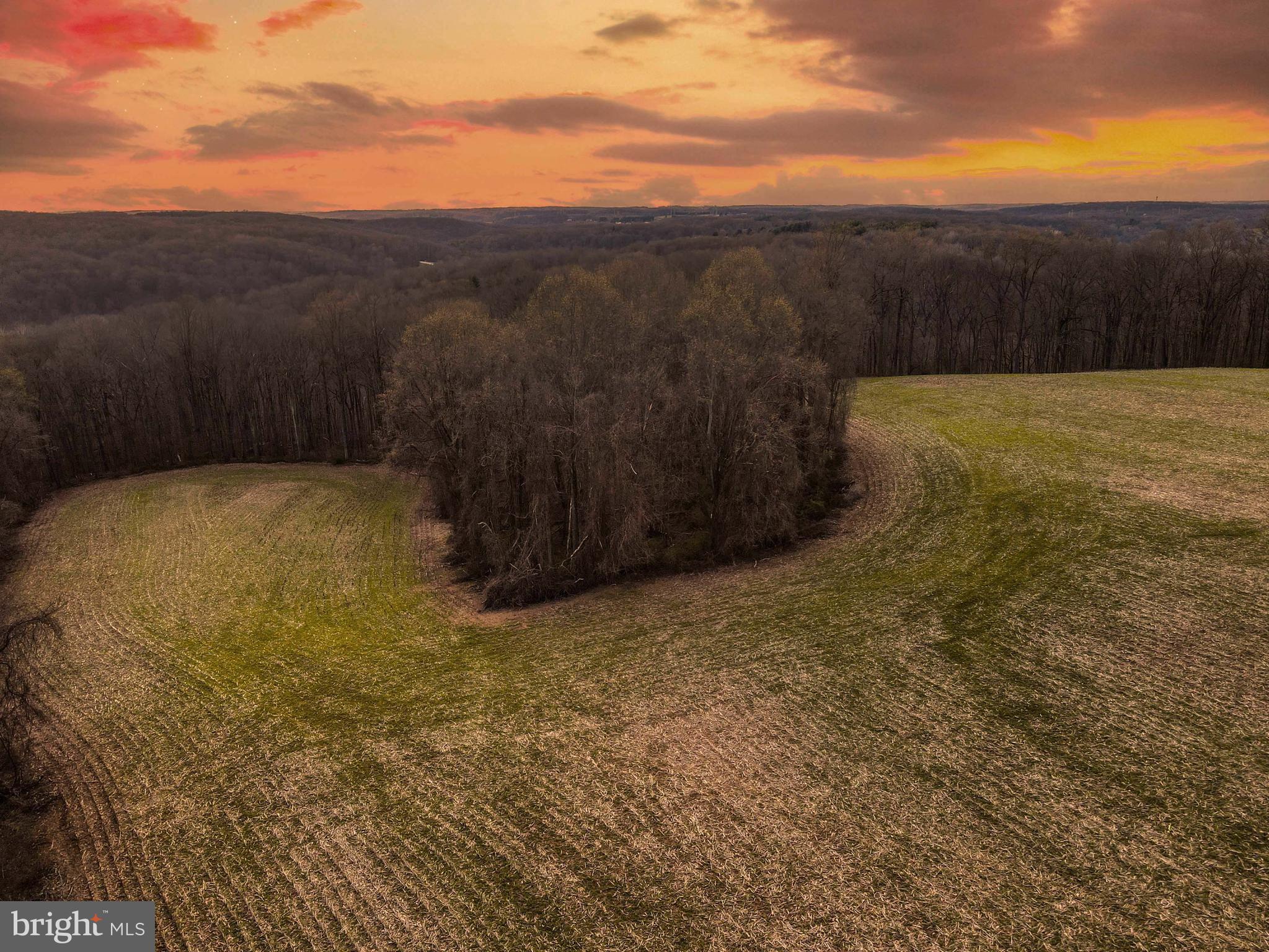 Bluemount Road Monkton, MD 21111 - Photo 5 of 9
