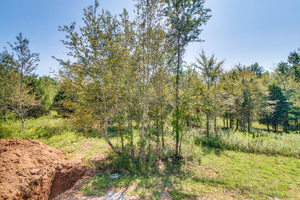 990 Hooper Road Charlotte, TN 37036 - Photo 13 of 23 Gallery Image 13