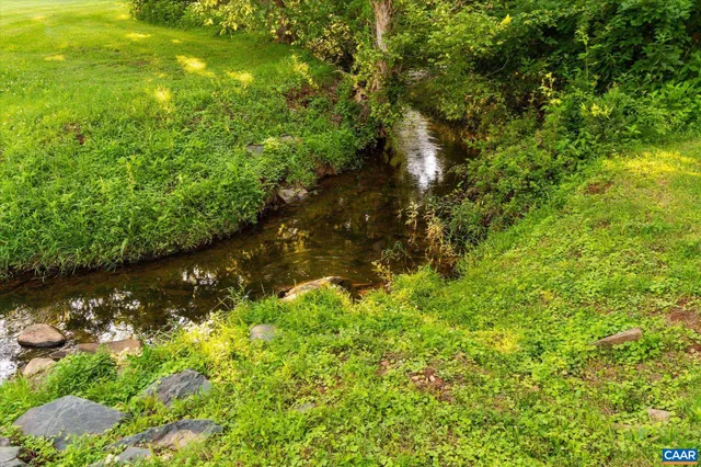 a view of a tree with a yard
