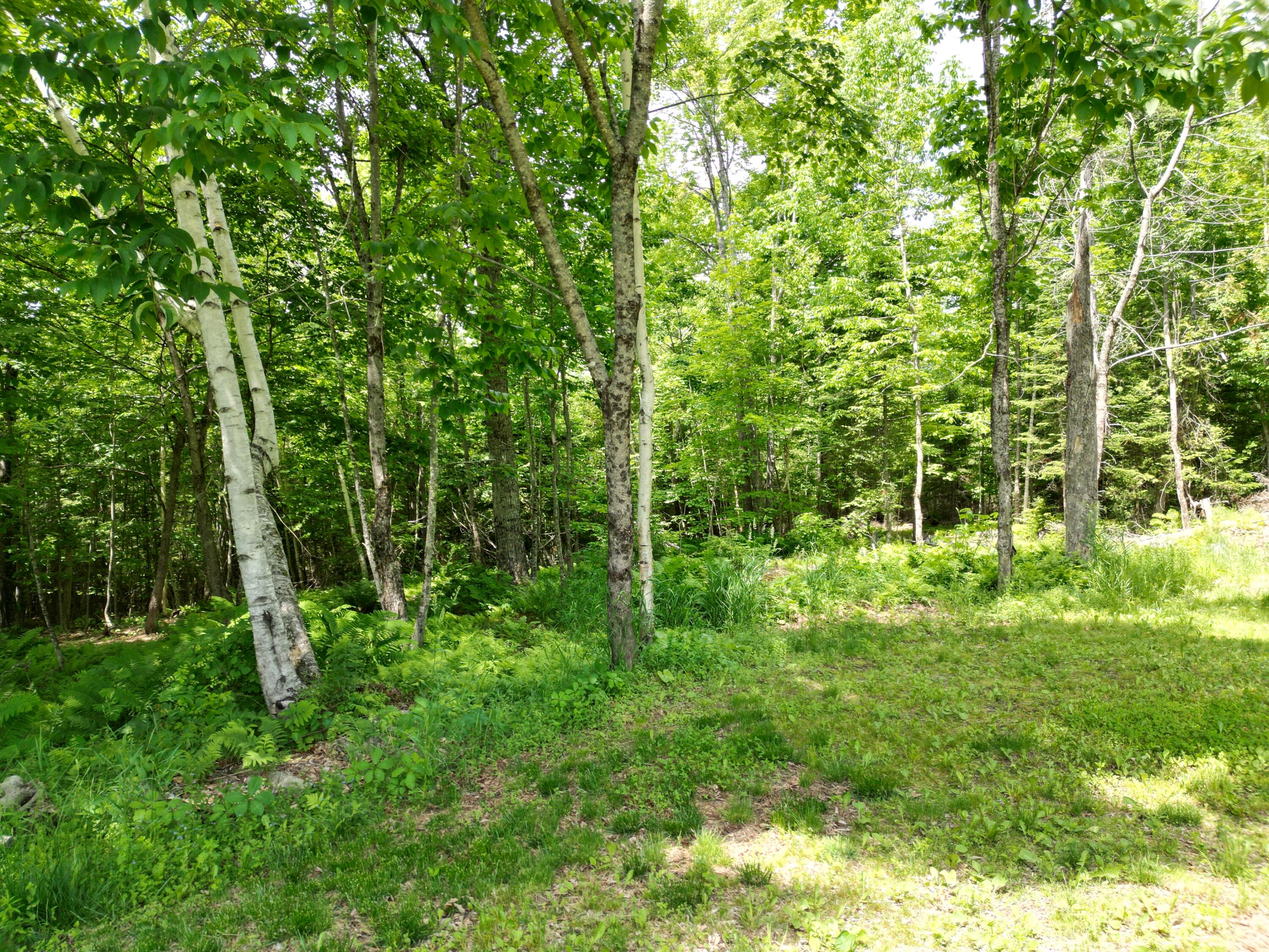 173 North Dixmont Road Troy, ME 04987 - Photo 17 of 28 dji_fly_20260603_155718_994_178155192129