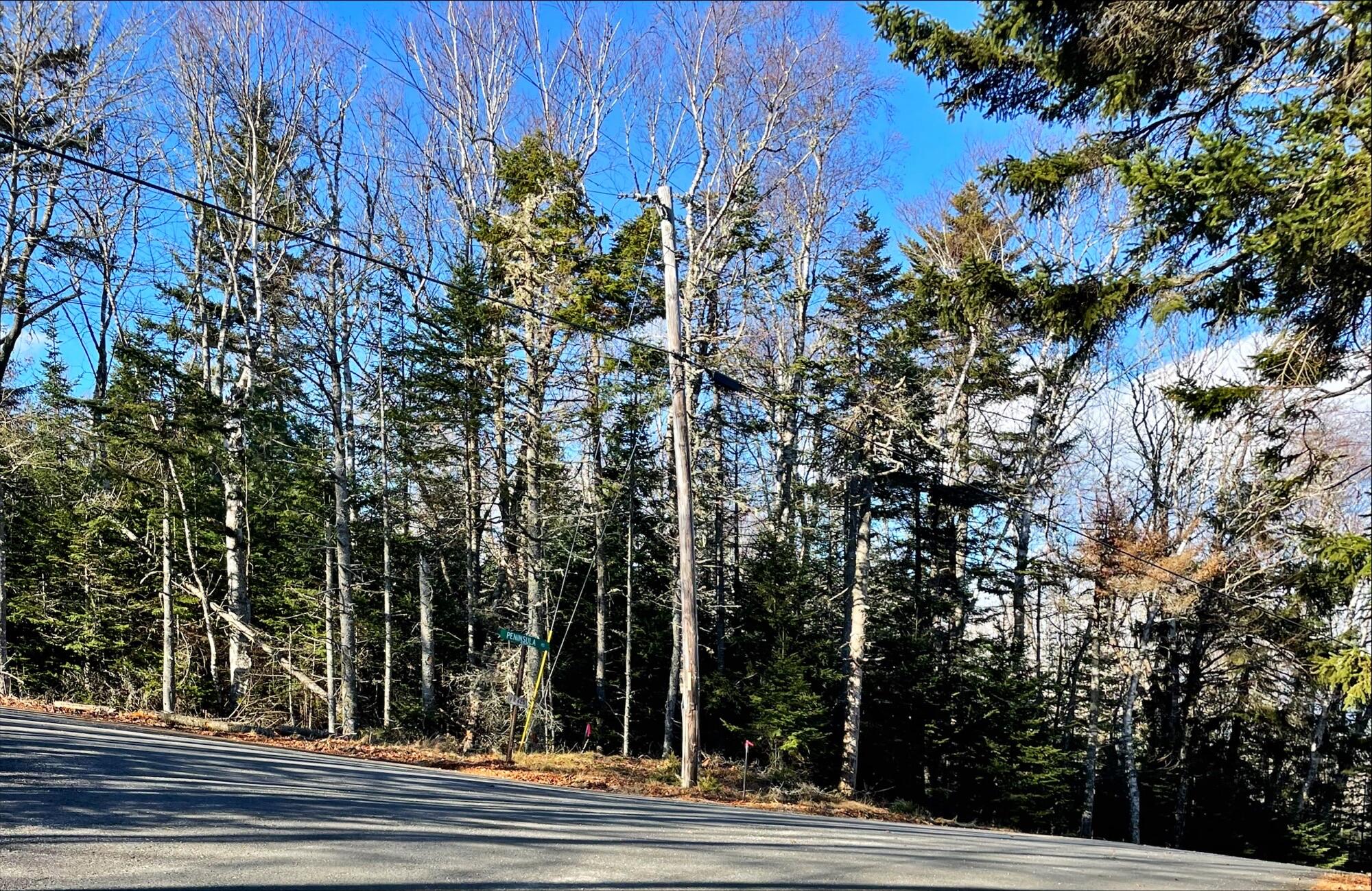 58-20 Paul Bunyan Road Corea, ME 04624 - Photo 9 of 15 processed-DF70A0A6-F0E7-48B8-ADB8-2B3E52