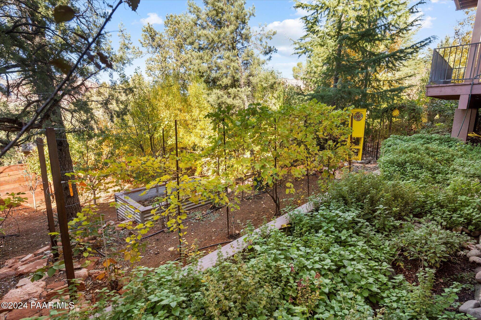 5 Mingus Mountain Road Sedona, AZ 86336 - Photo 78 of 89 78-Garden _ Backyard